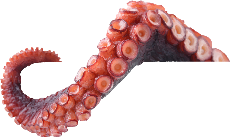 Tentacle By Liv - Tentacle Png (1024x752), Png Download