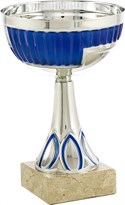 Trofeu De Prata Png (457x652), Png Download