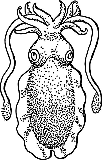 Water, Drawing, Ocean, Swim, Tentacles, Cuttlefish - Cuttlefish Drawing (407x640), Png Download