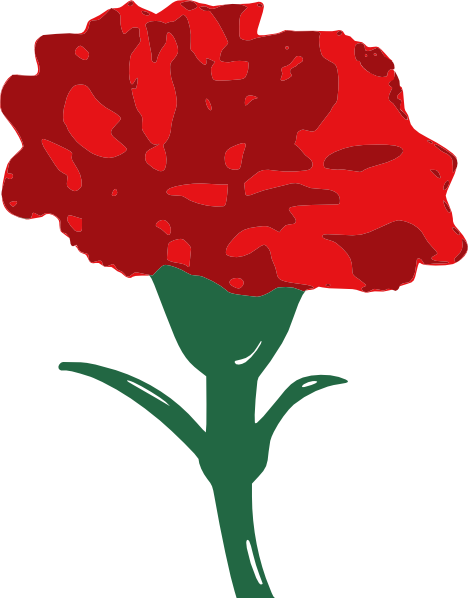 Carnation Cliparts - Red Carnation Clip Art (468x598), Png Download