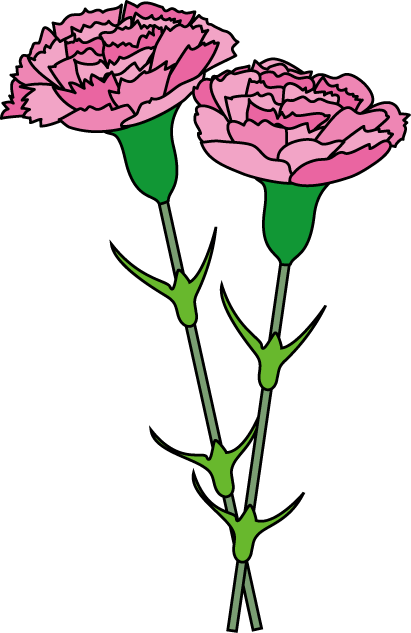 Carnation Cliparts - Pink Carnation Clip Art (411x633), Png Download