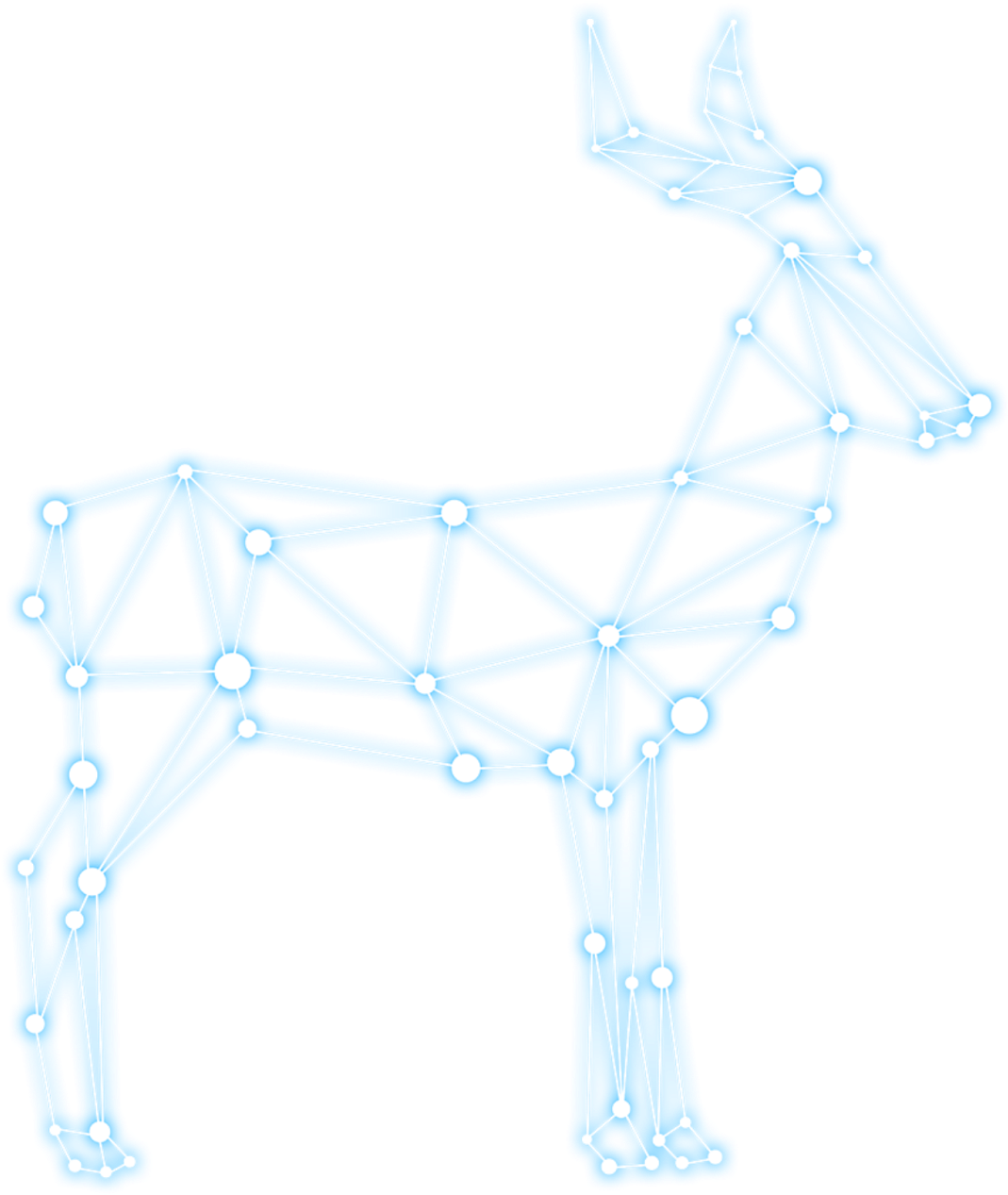 Reindeer (1200x1600), Png Download