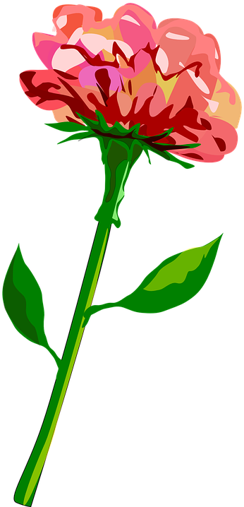 Stem Clipart Carnation Flower - Flower With Stem Png (282x593), Png Download