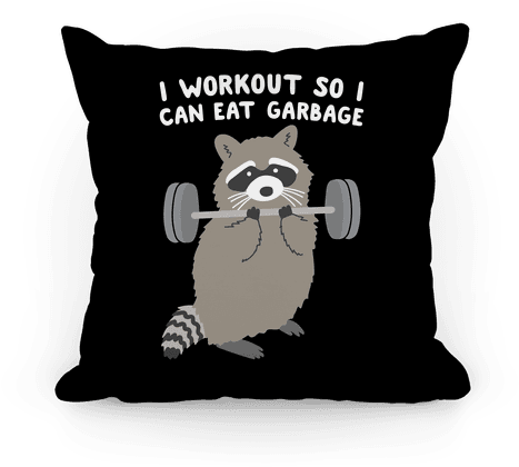 I Workout So I Can Eat Garbage Raccoon Pillow - She's Beauty She's Grace She Ll Punch You In The Face (484x484), Png Download
