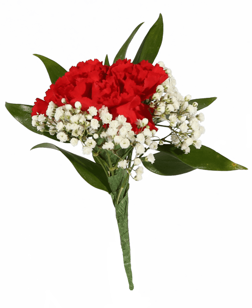 Red Carnation Boutonniere (500x611), Png Download
