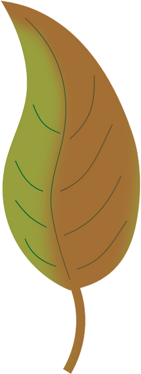 Fall Leaves Clip Art Beautiful Autumn Clipart Png - Autumn Leaf Color (349x827), Png Download