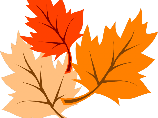 Autumn Leaves Clipart Corner Border - Fall Leaves Clip Art (640x480), Png Download