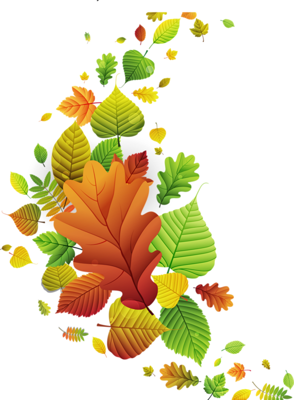Яндекс - Фотки - Automne Clipart (588x800), Png Download