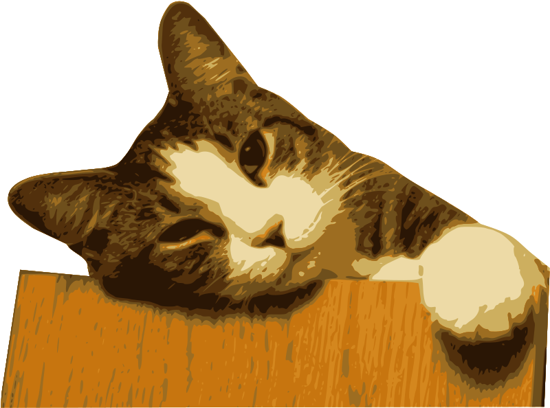 Free Vector Relaxed Cat - Realistic Knocking Sound Gif (800x600), Png Download