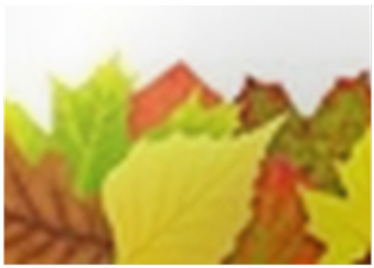 Colorful Autumn Leaves Border Isolated On White Poster - White (400x400), Png Download