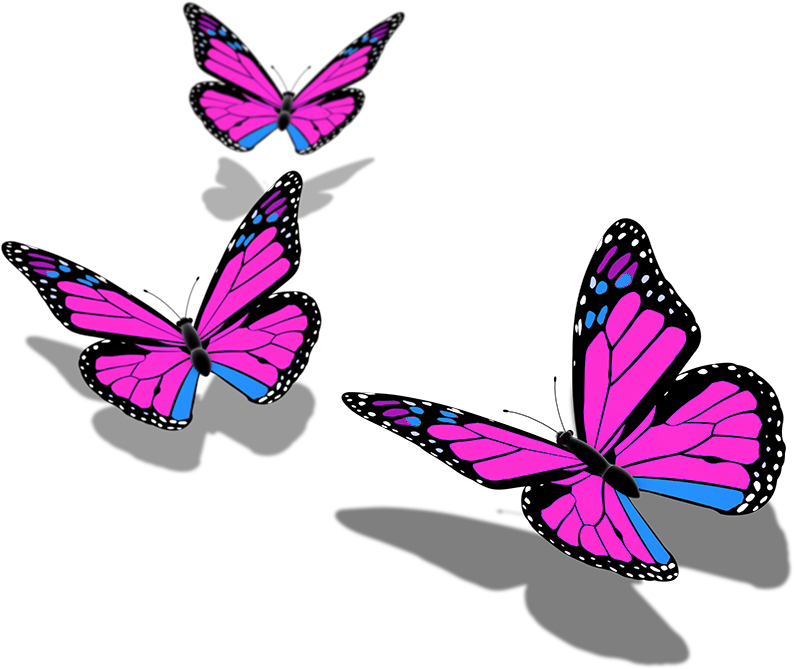 Butterfly Butterflies Mariposa Ftestickers Stickers - Butterfly Png Pic Hd (800x675), Png Download