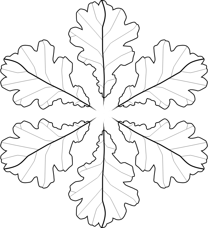 Medium Image - Coloring Book (728x800), Png Download