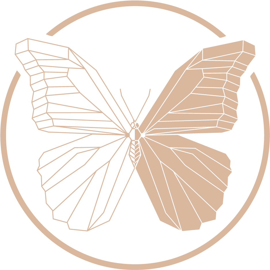 Mariposa Hotel - Butterfly (1024x967), Png Download