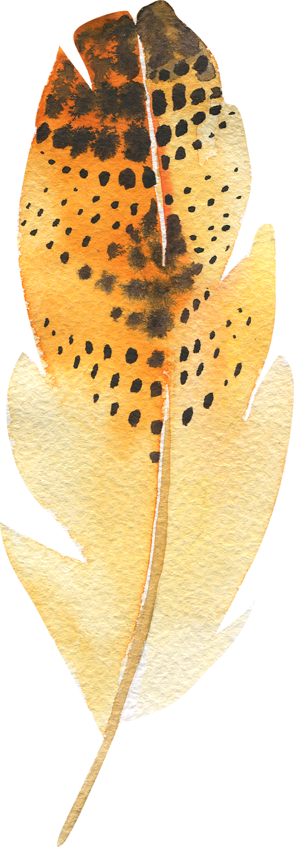 7 Feather - Povlak Na Polštář Feather, 40 X 40 Cm (600x1729), Png Download