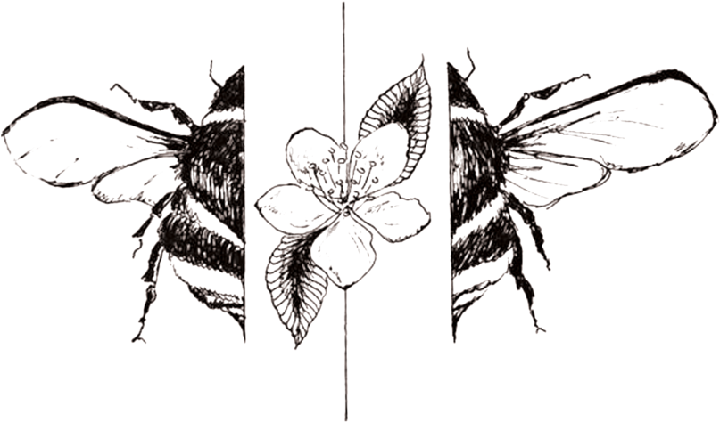 Bee In Frame - Jpeg (1000x928), Png Download