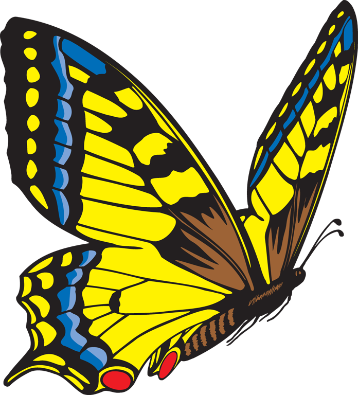 49 Best Mariposas Images - Flying Butterfly Clip Art (696x768), Png Download