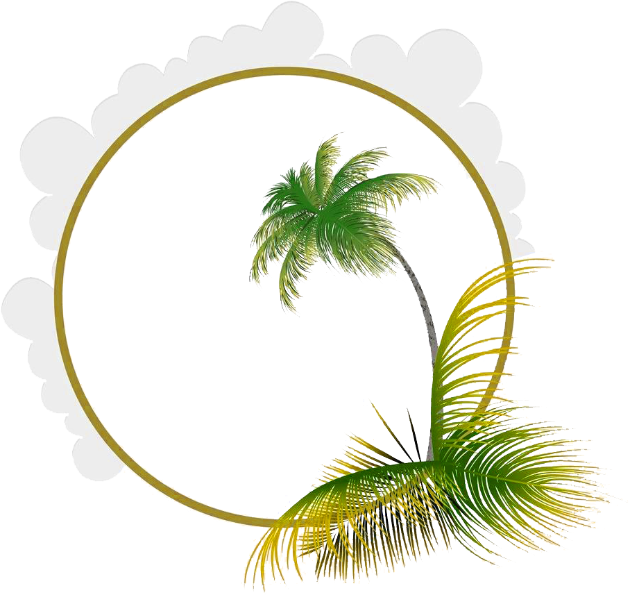 Leaf Euclidean Coconut Frame Picture Material Transprent - Coconut Frame Png (1024x868), Png Download