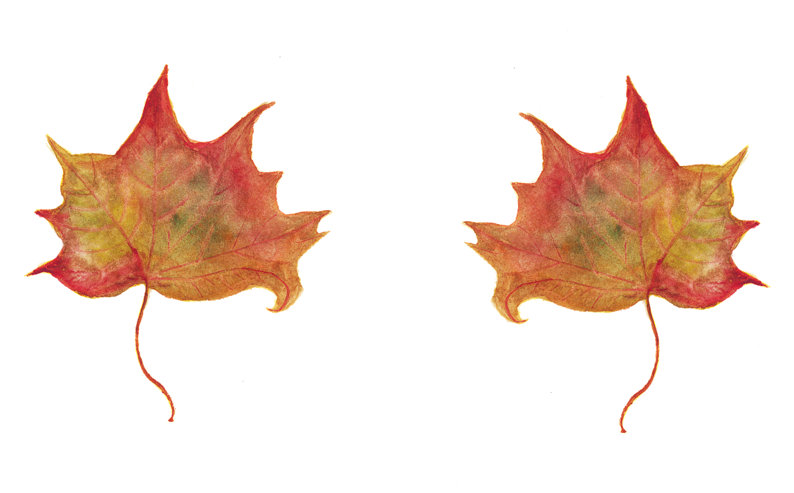 Leaf,maple Leaves,red Leaf,autumn Leaf,autumn Leaves,watercolor, - Un Qualsiasi Mattino Di Settembre Als Ebook Von Luciana (1280x720), Png Download