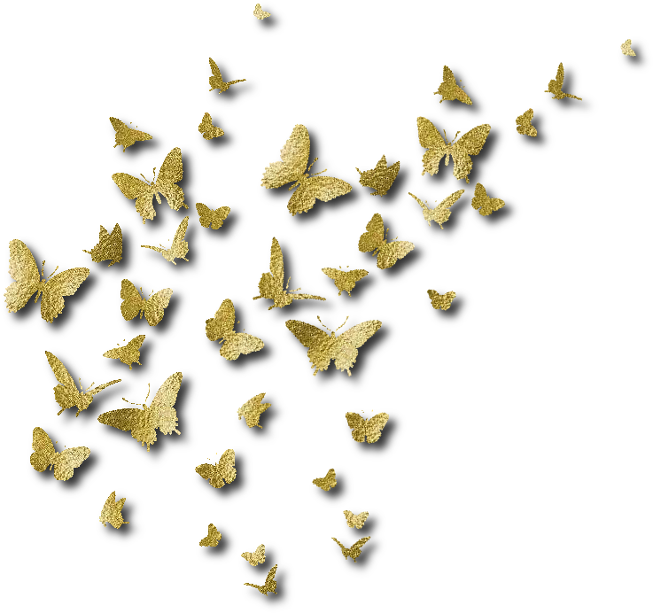 Download Public Management As Art Science And Profession - Fondo De Pantalla De Mariposas Doradas (737x692), Png Download
