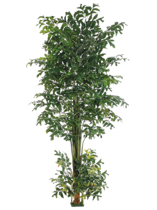 10' Fishtail Palm Tree W/1426 Leaves & Square Base - Silk Plants Direct Fishtail Palm Tree - Green - Pack (800x800), Png Download