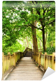 Stairway To Jungle, National Park, Chiang Mai,thailand - Boardwalk (400x400), Png Download