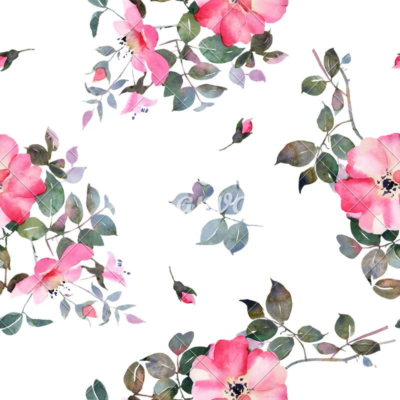 Rose Watercolor Flower Seamless Pattern - Watercolor Flowers Seamless Patterns (800x800), Png Download