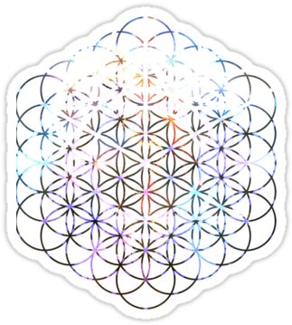 Carina Flower Of Life - Mandala (375x360), Png Download