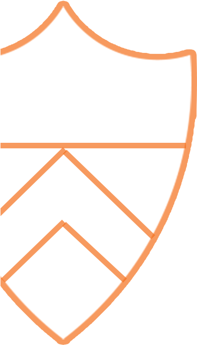 Princeton 2009 Shield Outline Orange Crop 2 Web Draft - Shield Outlines Clip Art (447x936), Png Download