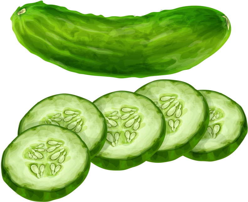 Pepino Fruit Clipart, Food Clipart, Vegetable Prints, - Cucumber Clipart (800x649), Png Download