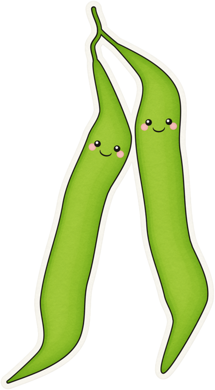 Duplicate Kawaii Faces To Draw On Clipart Used For - Clipart Green Bean (441x800), Png Download