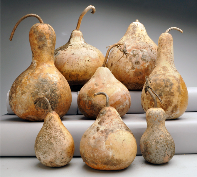 'distressed Finish' Gourds - Distressing (1200x600), Png Download