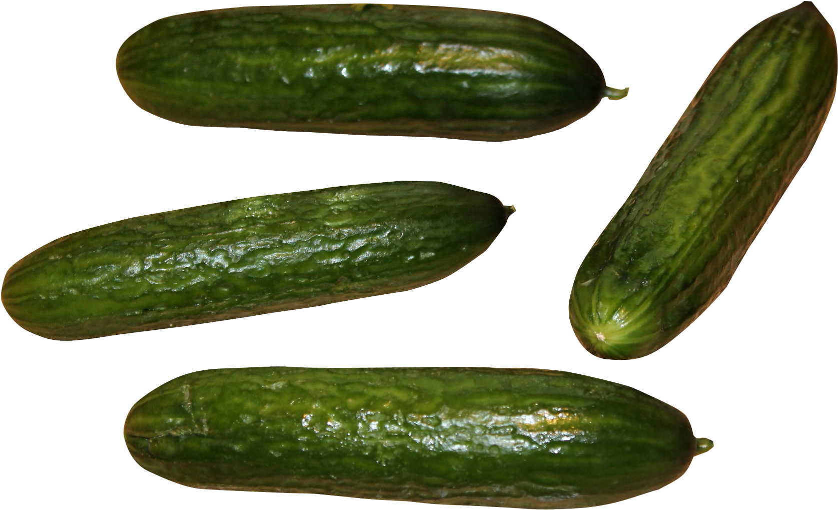 Cucumber Png Image - Transparent Bitter Gourd Png (1748x1138), Png Download