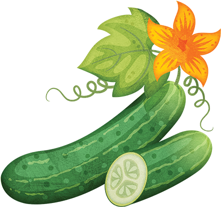 Cucumber - Cucumber Cartoon (500x500), Png Download