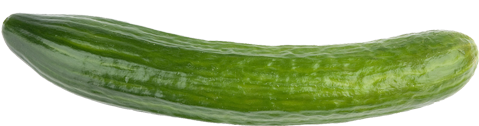 Cucumber Png Download - Japanese Cucumber Png (500x500), Png Download