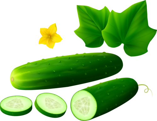 Png Free Download Cucumber Transparent Background Free - Cucumber Clipart Png (500x385), Png Download