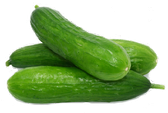 Cucumber Lebanese (640x480), Png Download