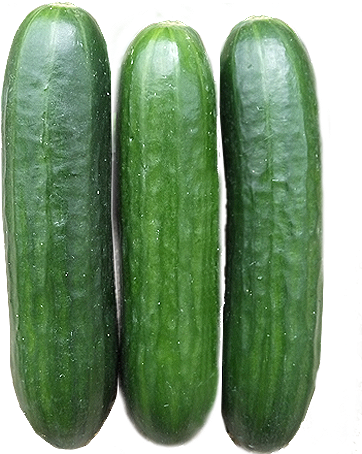 Commercial Seeds / Fruity / F1 Hybrid Cucumber - Fruit (510x510), Png Download