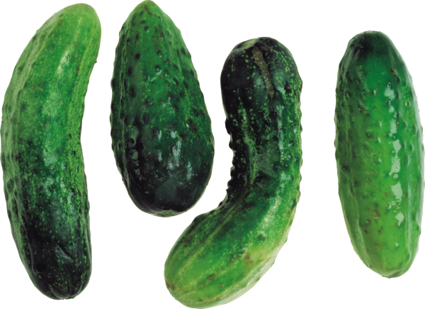 Cucumber Png Free Download - Indian Vegetables Image Png (600x436), Png Download