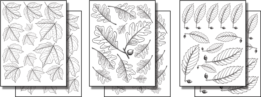 Stick 'n Burn Geometric Designs Pack - Line Art (800x313), Png Download