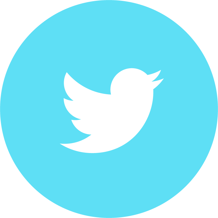 Facebook Twitter Snapchat Instagram - Twitter Logo Icon Png (738x738), Png Download