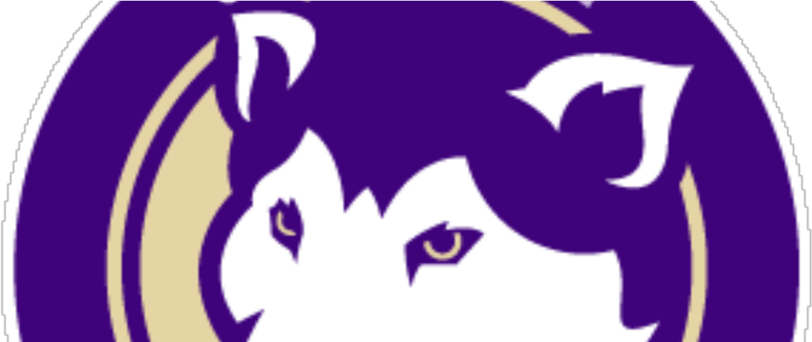 Talking Washington Huskies With Max Vrooman Of Uw Dawg - Uw Dawg Pound (1600x480), Png Download
