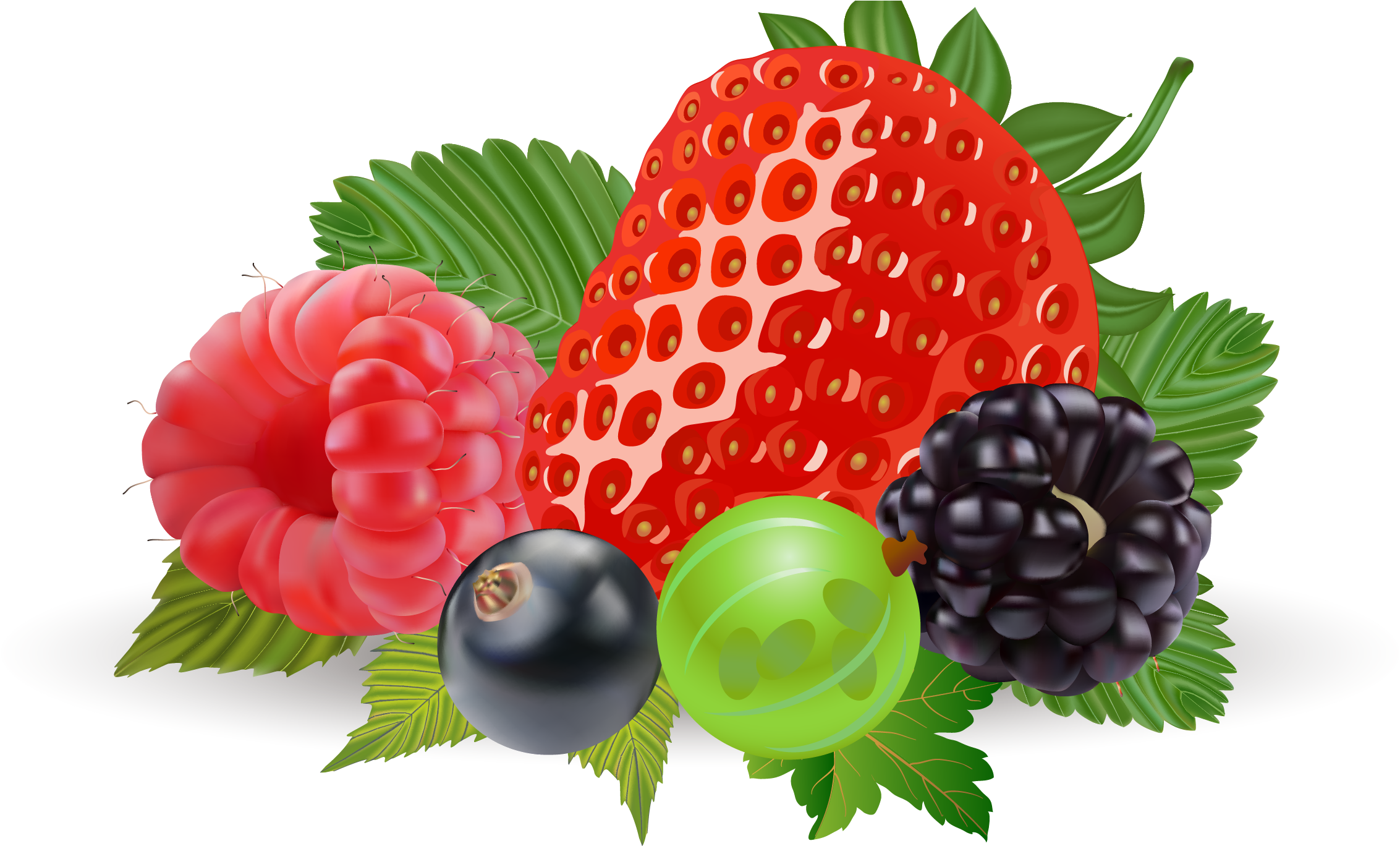 Strawberry Clipart Realistic - Mixed Berry Vector Png (2604x1367), Png Download