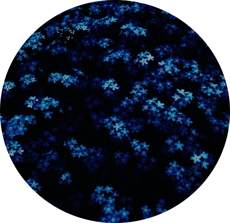 Blue Darkblue Circle Aesthetic Flowers Freetoedit - Aesthetic Navy Blue (750x730), Png Download