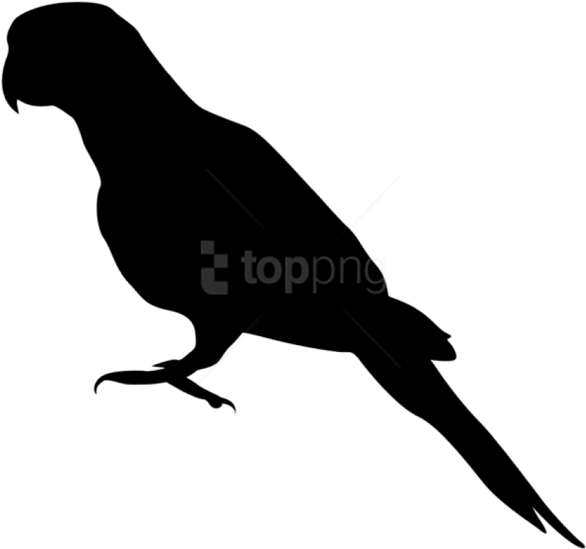 Free Png Parrot Png Silhouette Png - Endangered Species Silhouette (850x801), Png Download