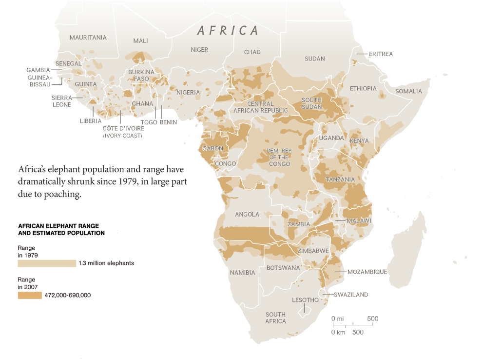 Elephant Slaughter Slide - Map Of Africa Transparent Background (990x772), Png Download