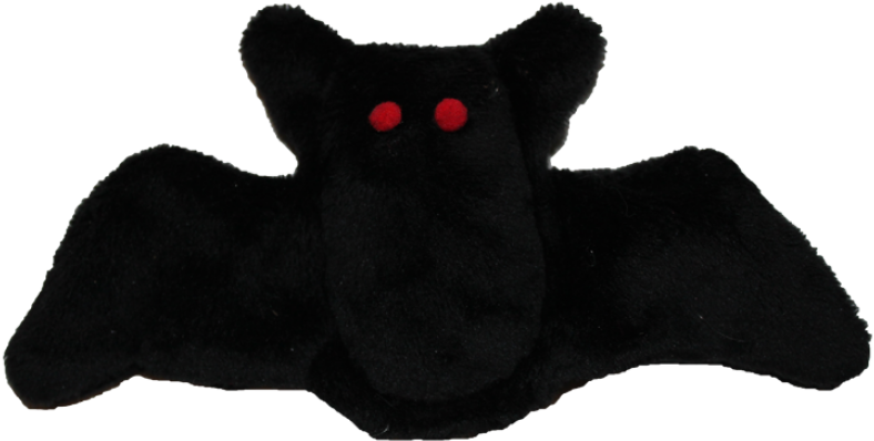 Teddy Bear (800x800), Png Download