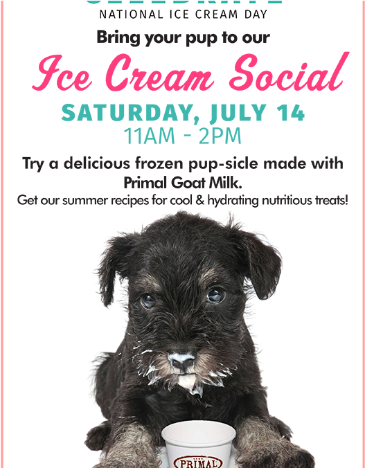 City Mall (600x675), Png Download