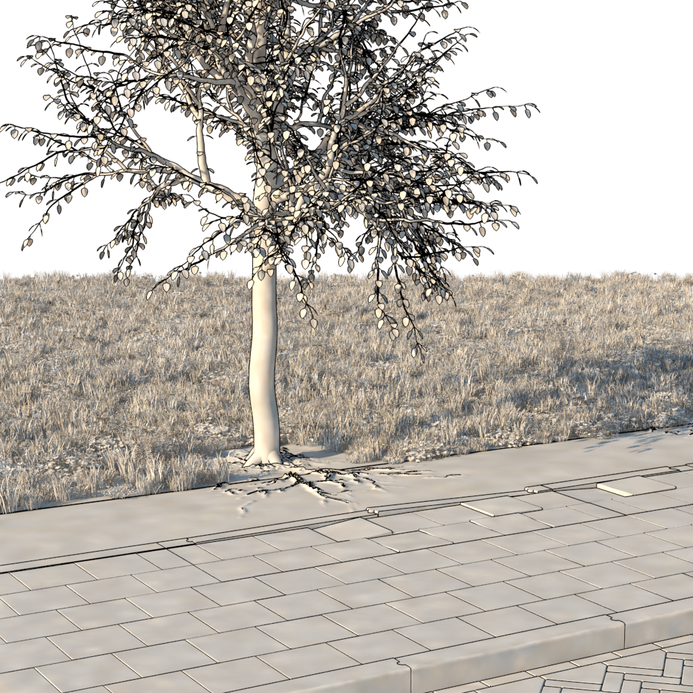 Ribs Prevent The Roots From Growing Within The Cylinder - Walkway (1000x1000), Png Download