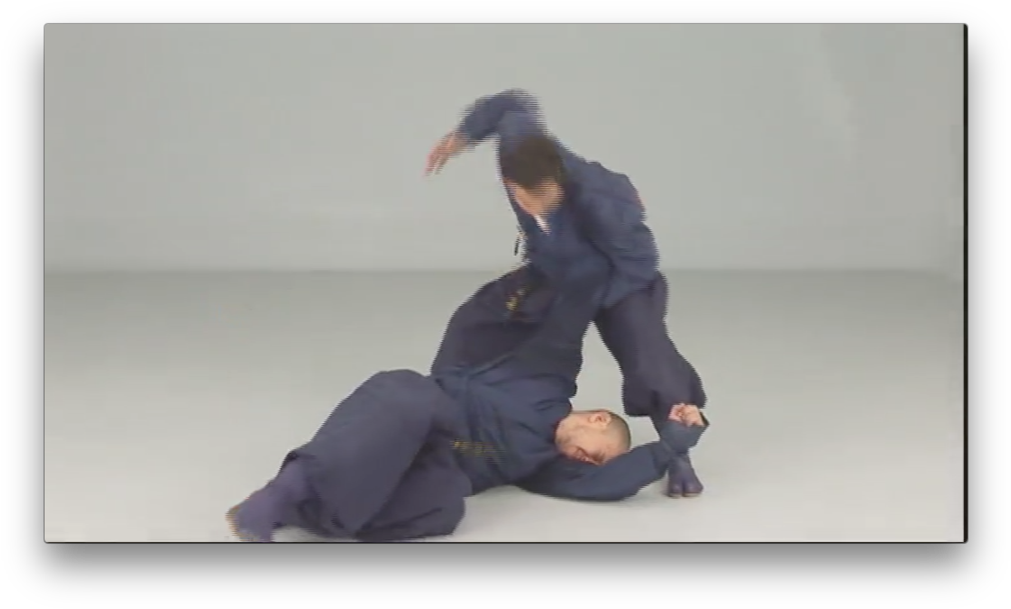 Iga Ryu Ninjutsu Empty Hands Techniques By Juan Hombre - Sitting (1024x620), Png Download
