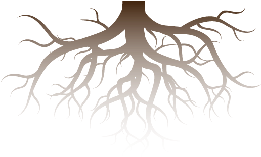 Professional Tree Services In Brampton, Ontario - Roots Vector (1000x365), Png Download
